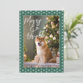 枚 | 朝野羽日本のの着物 シーズンカード