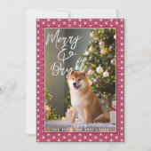 枚 | 朝野羽日本のの着物 シーズンカード (正面)