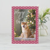 枚 | 朝野羽日本のの着物 シーズンカード (スタンド正面)