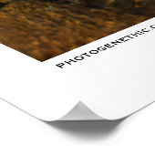 果てしない夏 ポスター (角)