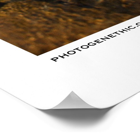 果てしない夏 ポスター (角)