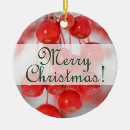 果実とのカスタムでメリーなレトロのクリスマス2016年 セラミックオーナメント