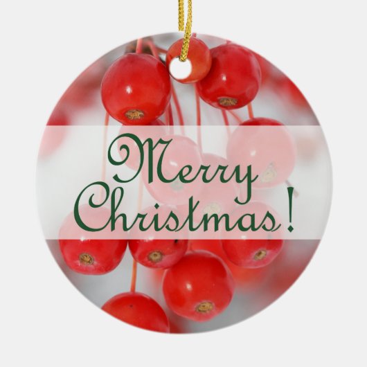果実とのカスタムでメリーなレトロのクリスマス2016年 セラミックオーナメント (正面)