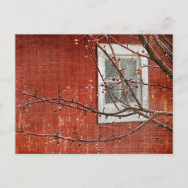 果実と納屋 ポストカード