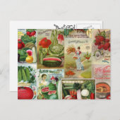 果実と野菜の種子カタログのコラージュ ポストカード (正面/裏面)