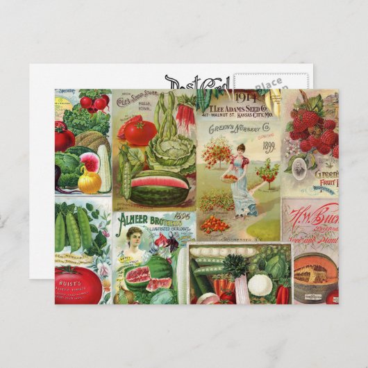 果実と野菜の種子カタログのコラージュ ポストカード (正面/裏面)