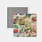 果実と野菜の種子カタログのコラージュ マグネット (正面/裏面)