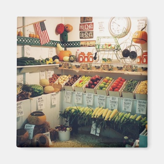 果実と野菜 マグネット (正面)