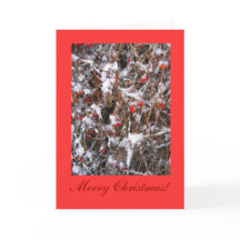 果実のメリークリスマス