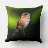 果実の木に愛らしいハチドリ クッション (正面)
