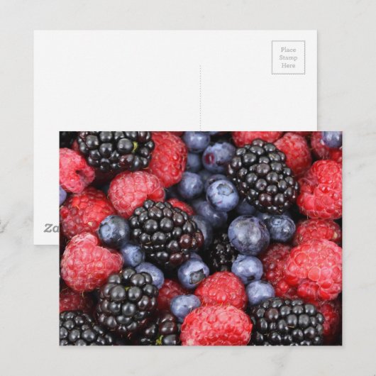 果実の背景 ポストカード (正面/裏面)