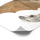 果実の解剖学こうもり-アンティーク版木、銅版、版画 ポスター (角)