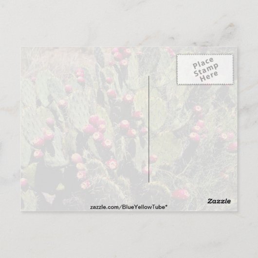 果実をつけたとげのあるナシのサボテン、ソノラン砂漠 ポストカード (裏面)