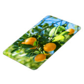 果実オレンジの木 マグネット (左側)