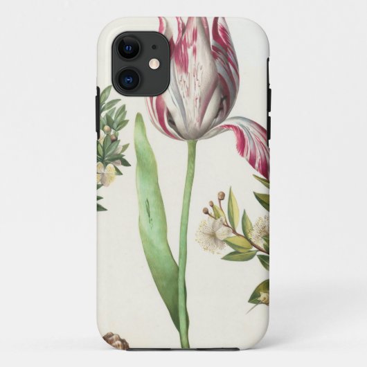 果実カラフル Case-Mate iPhoneケース (裏面)