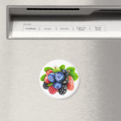 果実ミックス マグネット (インサイチュ (食洗機))