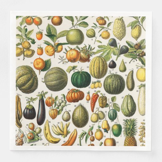 果実及び野菜 (正面)