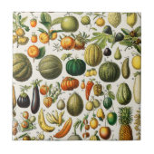 果実及び野菜  タイル (正面)