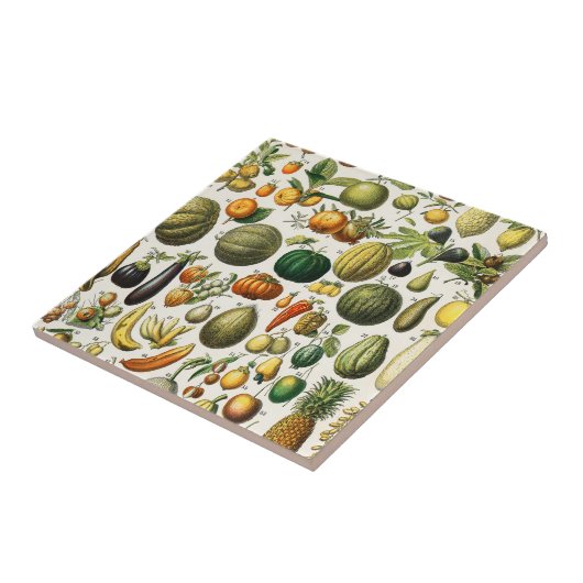 果実及び野菜  タイル (側面)