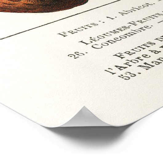 果実及び野菜 ポスター (角)