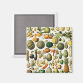 果実及び野菜 マグネット (正面/裏面)