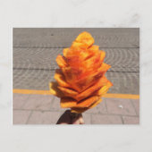 果実花 ポストカード (正面)