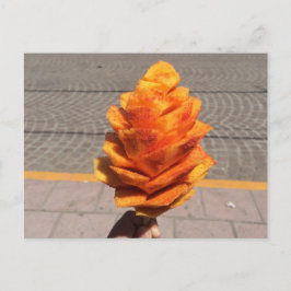 果実花 ポストカード