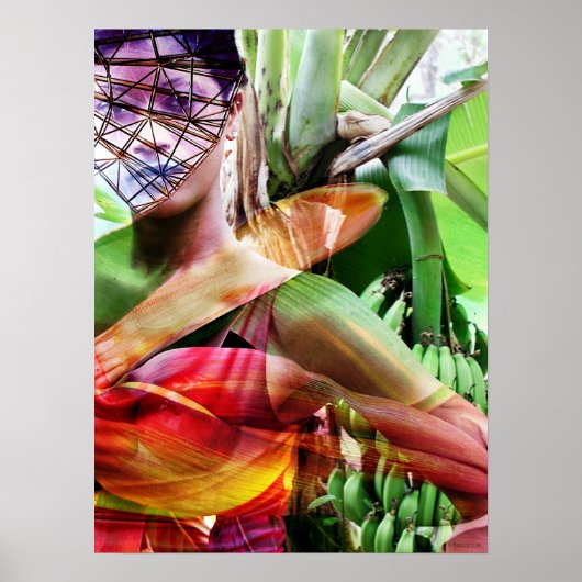 果実飛来地 ポスター (正面)