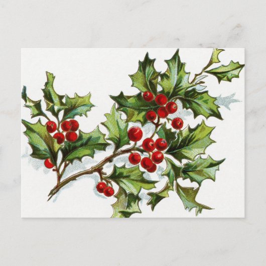 果実001 ポストカード (正面)