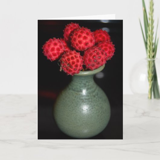 果実 カード (正面)