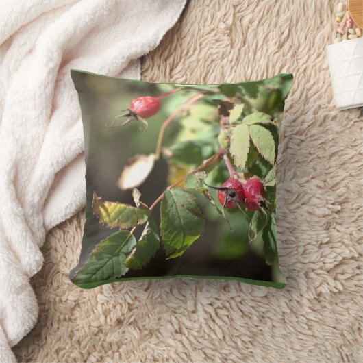 果実 クッション (ブランケット)