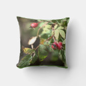 果実 クッション (正面)