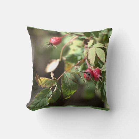 果実 クッション (正面)