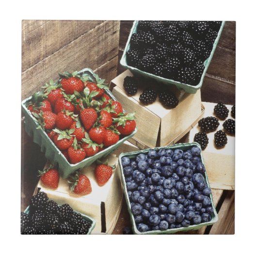 果実 タイル (正面)