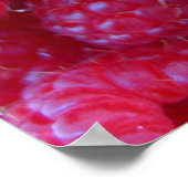 果実 ポスター (角)