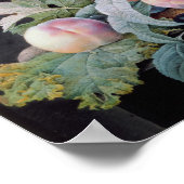 果実 ポスター (角)