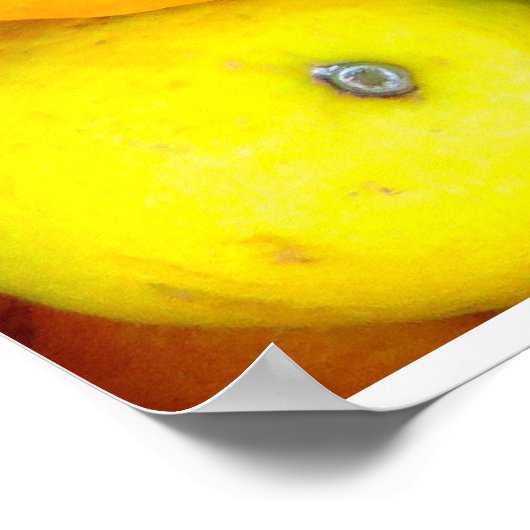 果実 ポスター (角)