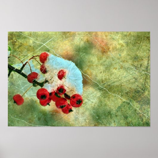 果実 ポスター (正面)