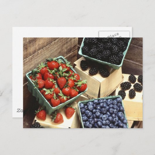 果実 ポストカード (正面/裏面)