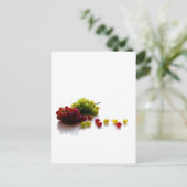 果実 ポストカード (スタンド正面)