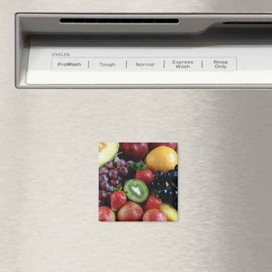 果実 マグネット (インサイチュ (食洗機))