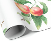 果実 ラッピングペーパー (ロールコーナー)