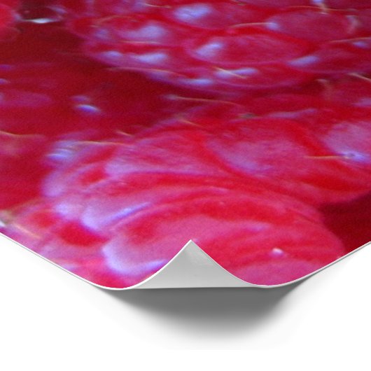 果実 – 4回のテイク ポスター (角)