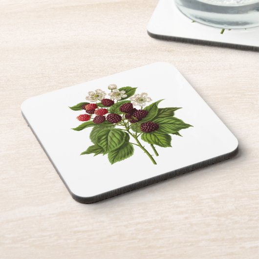 果実： A014 Blackberry - コースター (左側)