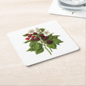 果実： A014 Blackberry - スクエアペーパーコースター (アングル)