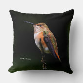 果樹にかわいいハチドリ クッション (正面)