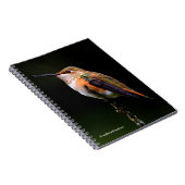 果樹に生えるハチドリ ノートブック (右側)