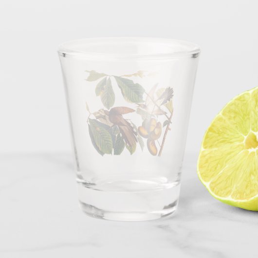 果樹のオードボンイエロークチコオの鳥 ショットグラス (裏面)