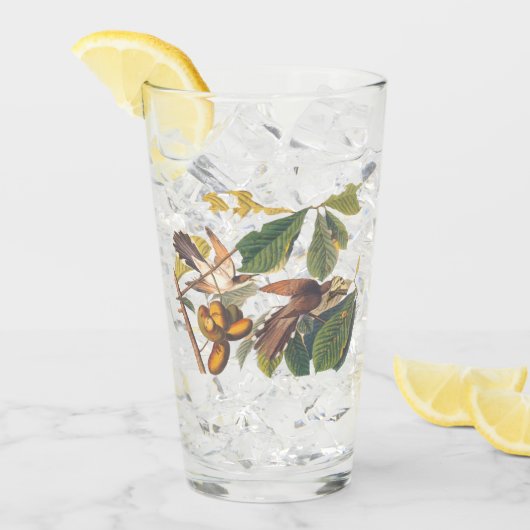果樹のオードボンイエロークチコオの鳥 タンブラーグラス (アイス正面)