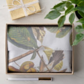 果樹のオードボン産の黄色いクッコ 薄葉紙 (ギフト)